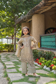 Motif Kids Organza Embroidered Suit