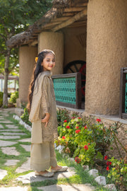Motif Kids Organza Embroidered Suit