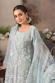 Motif Organza Embroidered Suit