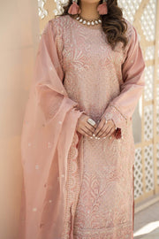 Motif Organza Embroidered Suit