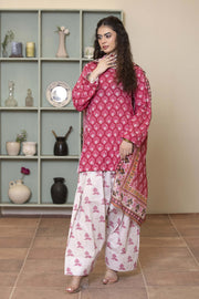 Motif Lawn Sequence Embroidered Suit
