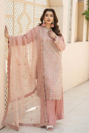 Motif Organza Embroidered Suit