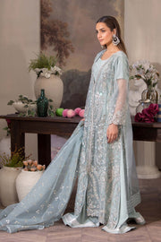 Motif Organza Embroidered Suit