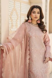Motif Organza Embroidered Suit