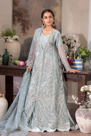 Motif Organza Embroidered Suit