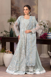 Motif Organza Embroidered Suit