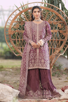 Motif Organza Embroidered Suit