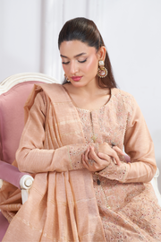 Motif Schifilli Embroidered Suit