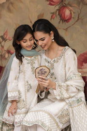 Motif Khaddi Net Embroidered Suit