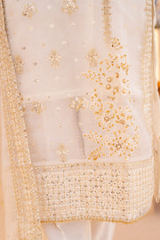 Motif Cotton Net Embroidered Suit