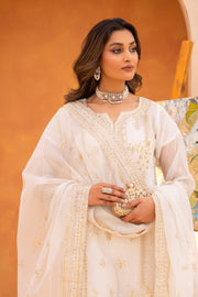 Motif Cotton Net Embroidered Suit