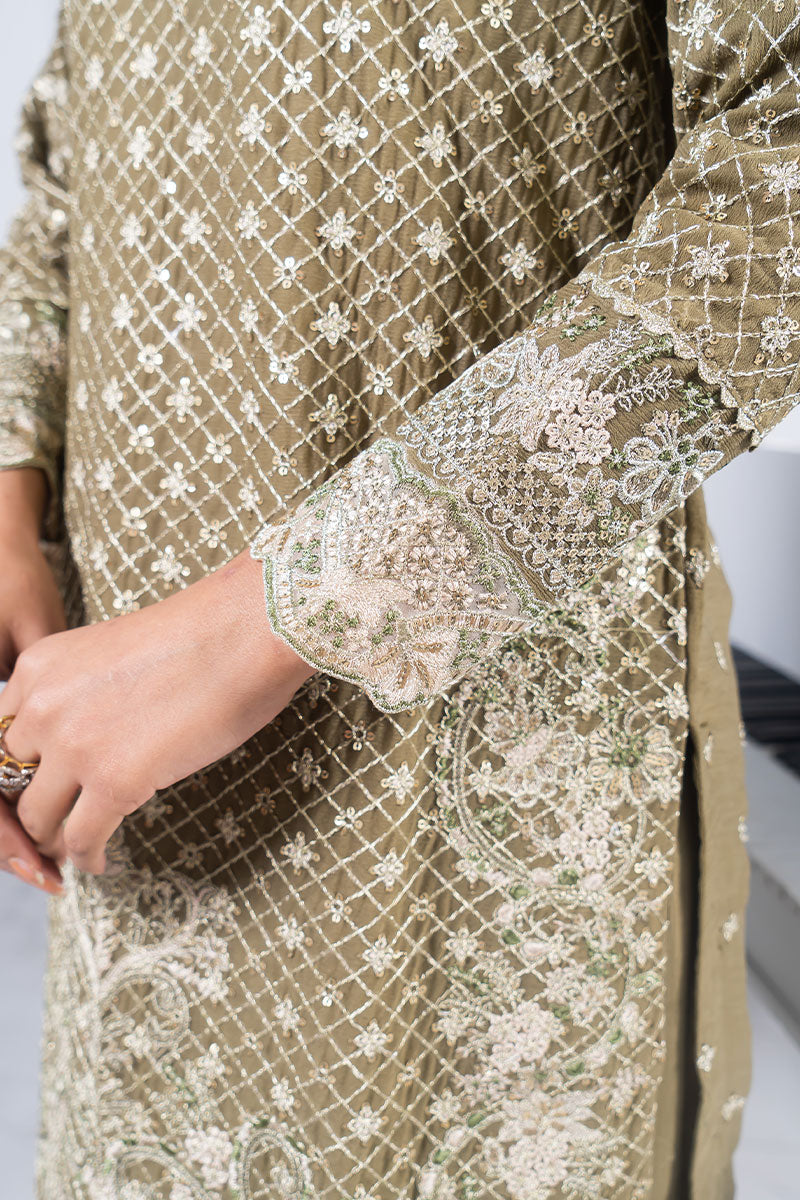 Motif Chiffon Embroidered Suit-019