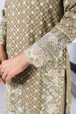 Motif Chiffon Embroidered Suit-019