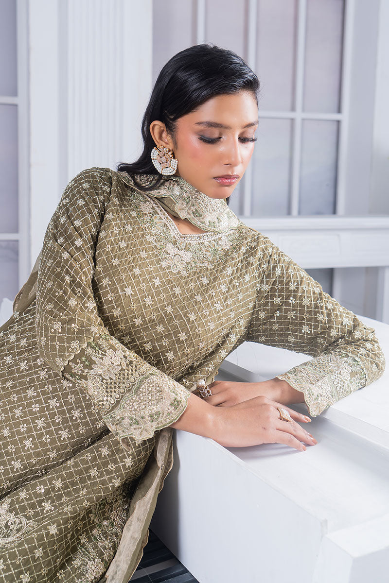 Motif Chiffon Embroidered Suit-019