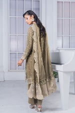 Motif Chiffon Embroidered Suit-019