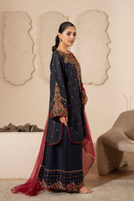 Motif Embroidered Mesoori Suit-006