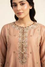 Motif Embroidered Barosha Suit-030