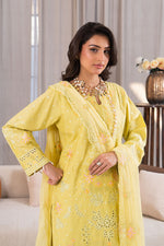 Motif Cambric Embroidered Suit-3865