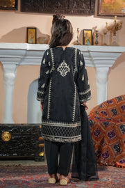Motif Cotton Net Embroidered Suit