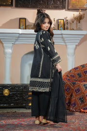 Motif Cotton Net Embroidered Suit