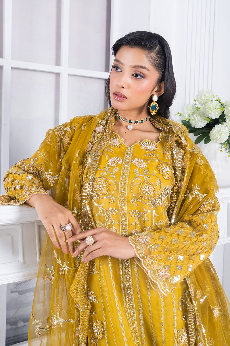 Motif Organza Embroidered Suit-361