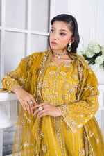 Motif Organza Embroidered Suit-361