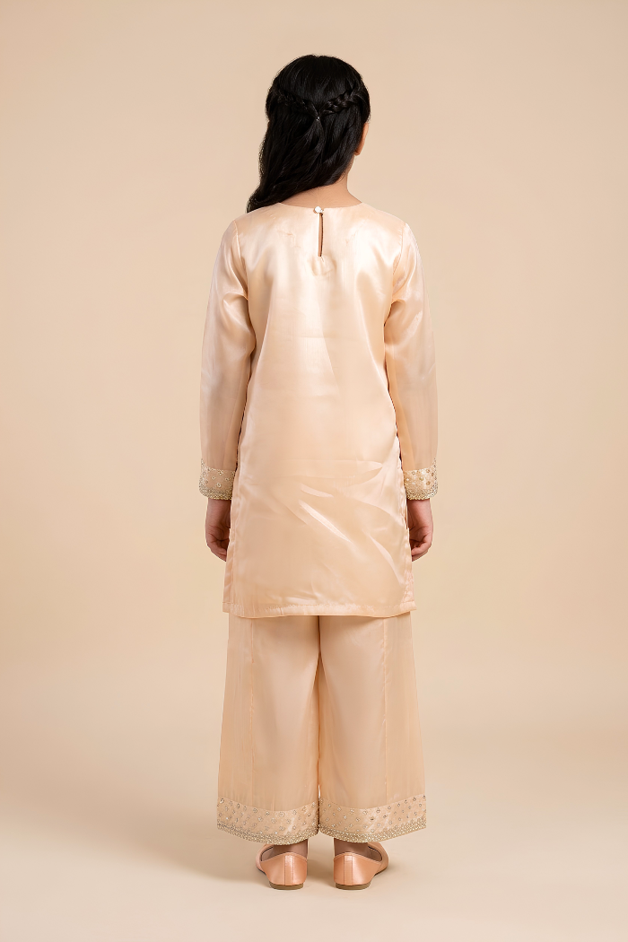 Motif Girls Embroidered Sheesha Silk Suit-750