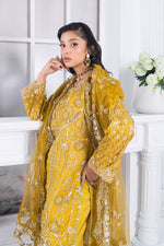 Motif Organza Embroidered Suit-361