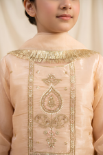 Motif Girls Embroidered Sheesha Silk Suit-750