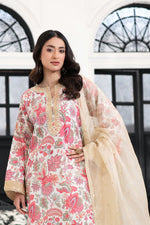 Motif Karandi Embroidered Suit-055