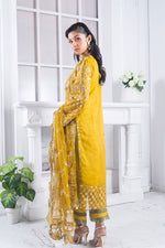 Motif Organza Embroidered Suit-361