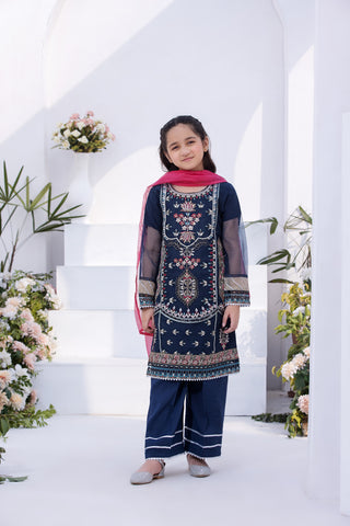 Motif Organza Embroidered Suit