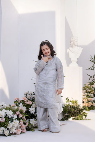 Motif Khaddi Net Embroidered Suit