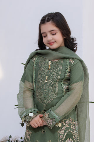 Motif Khaddi Net Embroidered Suit