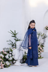 Motif Girls Organza Embroidered Suit