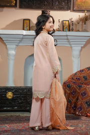 Motif Kids Tilla and sequence schifilli embroidered suit