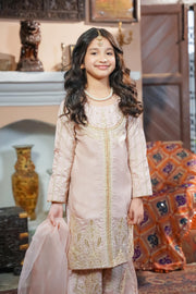 Motif Kids Embroidered Suit