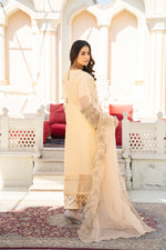 lawn embroidered suit