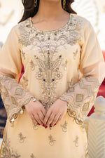 embroidered suit womens