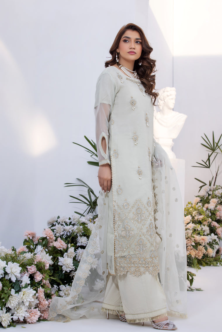 Motif Organza Embroidered Suit