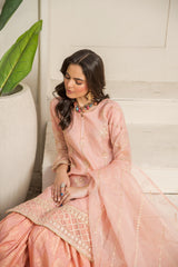 Motif Organza Embroidered Suit