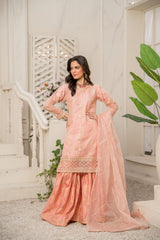 Motif Organza Embroidered Suit