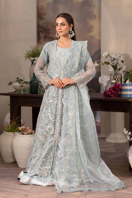 Motif Organza Embroidered Suit