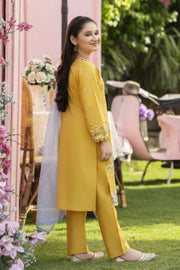 Motif Kids Embroidered Suit