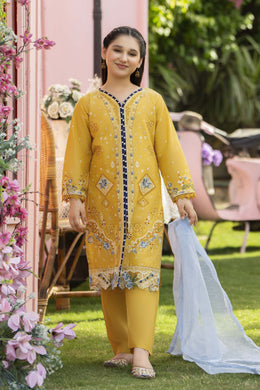 Motif Kids Embroidered Suit