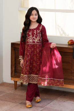 Motif Kids Organza Embroidered Suit