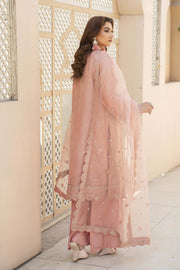 Motif Organza Embroidered Suit