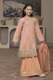 Motif Kids Embroidered Suit