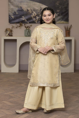 Motif Kids Embroidered Suit