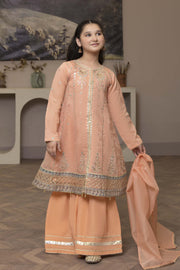 Motif Kids Embroidered Suit